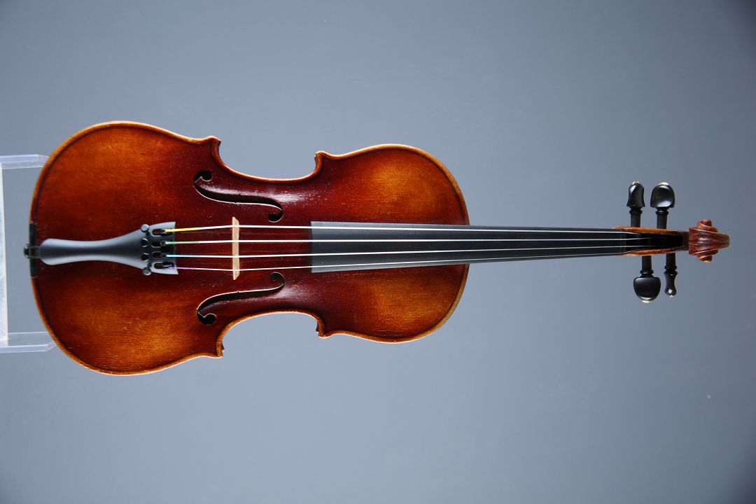 Pleissel Georg - Budweis 1896 - G-802